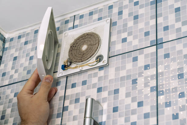 Air Duct Mold Removal in AL