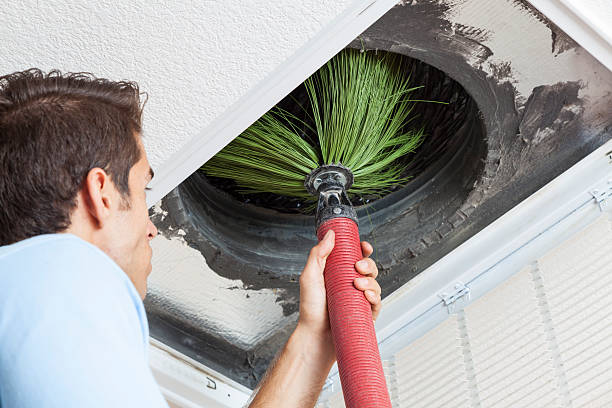 Best Dryer Vent Cleaning Services  in Gordo, AL