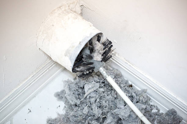 Best Affordable Duct Cleaning Services  in Gordo, AL