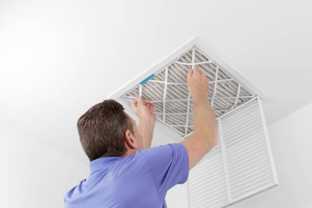 Best Professional Duct Cleaning Services  in Gordo, AL